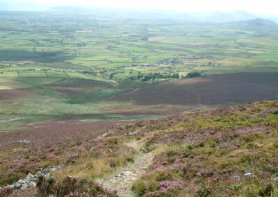 The path to the summit of Yr Eifl with Gors-lwyd Cottage in the distance purple heather Llithfaen